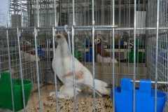 DSC00448