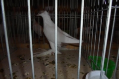 DSC00400